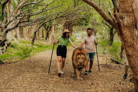 Mauritius: Casela Nature Park & Flic en Flac Beach Tour