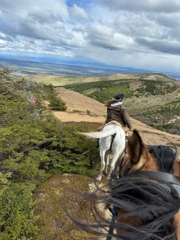 Visit Full Day Horseback Riding Trail Ride to the Mountain in Puerto Natales