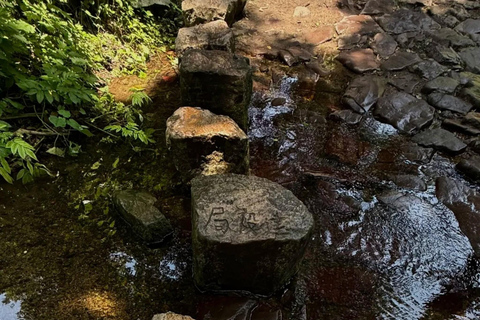 Hangzhou: Hike from Longjing Tea Village to Nine Creeks Group Tour