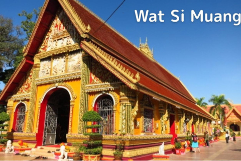 Carro particular com motorista em Vientiane – Vá a qualquer lugar, a qualquer hora