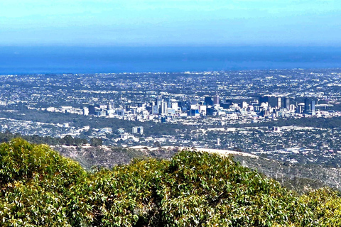From Adelaide: Full-Day Hills to Wildlife Tour with Lunch