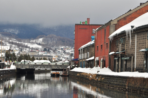 Excursión a Otaru de 10 horas (Salida desde Sapporo)