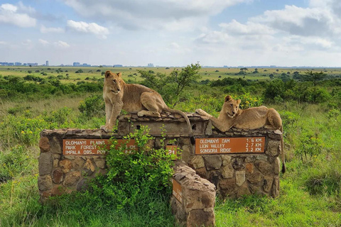 Nairobi: The Wild & The Brew Experience