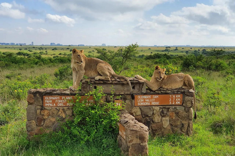 Nairobi: The Wild & The Brew Experience