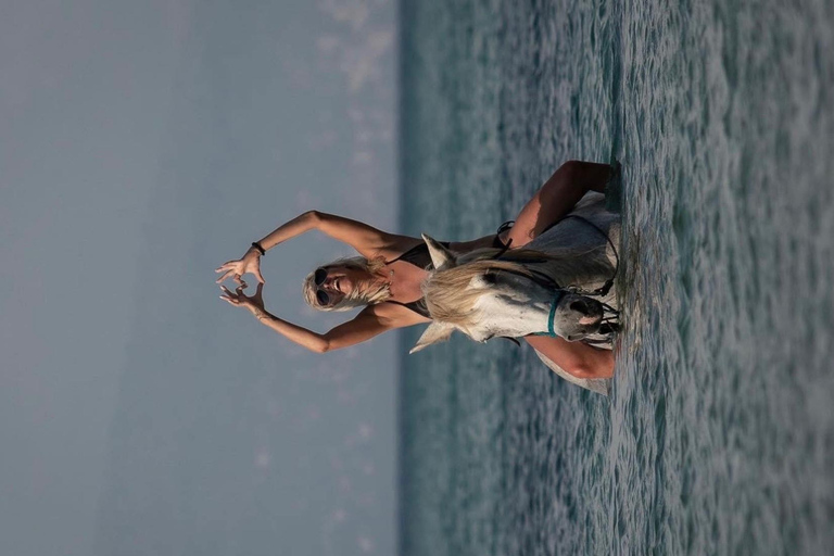 Corfu: Horseback Swimming Experience