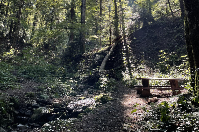 هونجكا: رحلة المشي لمسافات طويلة في جبل ميدفيدنيتسازغرب، هونجكا: نزهة لا تُنسى على جبل ميدفيدنيتسا