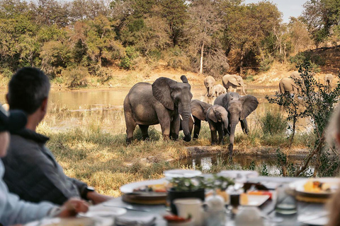 High-End 4 Day Kruger Park all Inclusive Safari from Joburg!