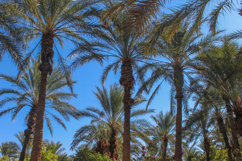 In the footsteps of Star Wars in Tunisia: 3-day tour from Djerba