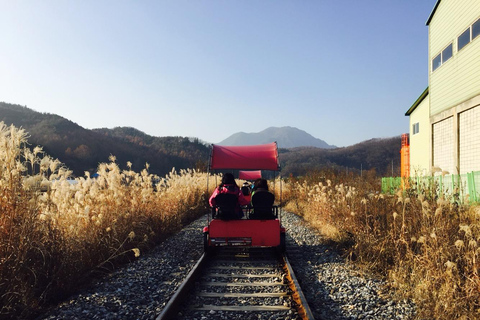 Seoul: Alpaca World, Railbike and opt Garden of Morning Calm Alpaca+Bike Shared Tour, Meet at Dongdaemun