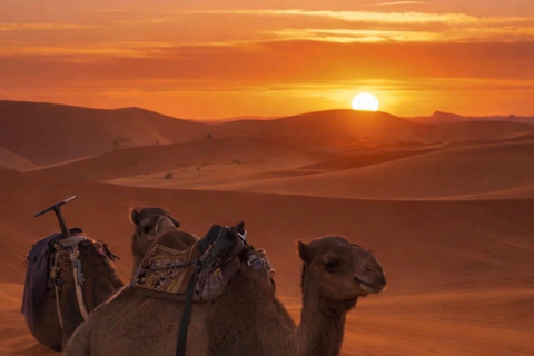 From Marrakech: 10-Day Morocco Highlights Tour