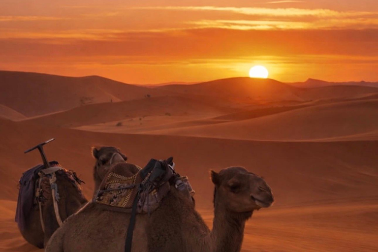 From Marrakech: 10-Day Morocco Highlights Tour