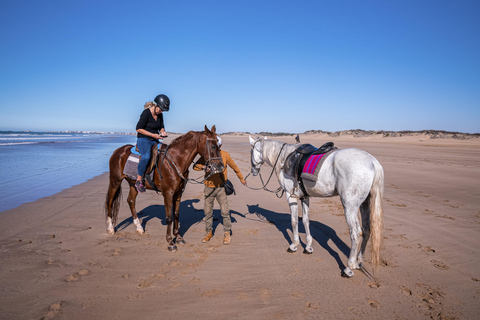 Punta Cana: Beach Horseback Ride, Natural Pool & Sea Access