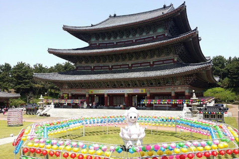 Jeju: South & West Coast Highlights Small Group Day Tour