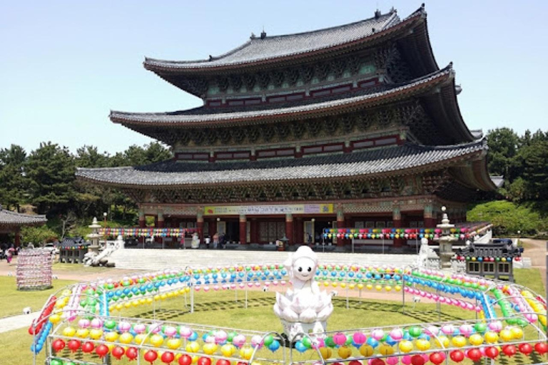 Jeju: South & West Coast Highlights Small Group Day Tour