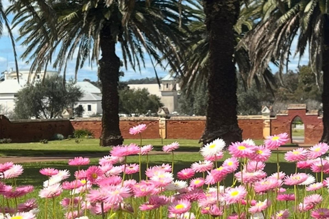 Follow the wildflower trail from Perth to New Norcia