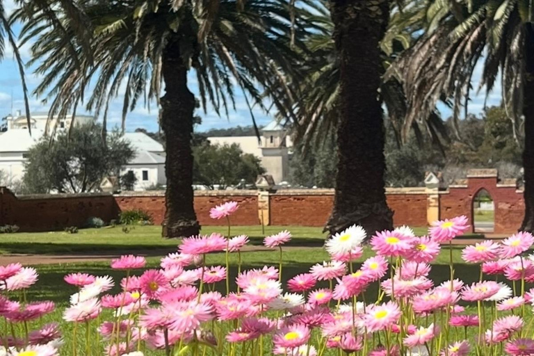 Follow the wildflower trail from Perth to New Norcia