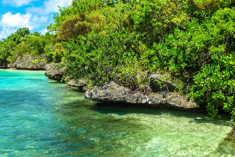 Ile aux Cerfs Speedboat Trip with Pickup and BBQ Lunch