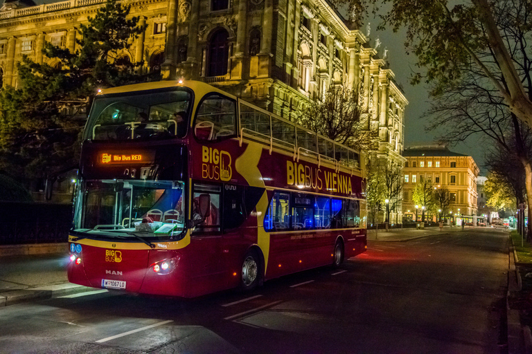 Vienna: Christmas Evening Tour with Schönbrunn Palace Lights
