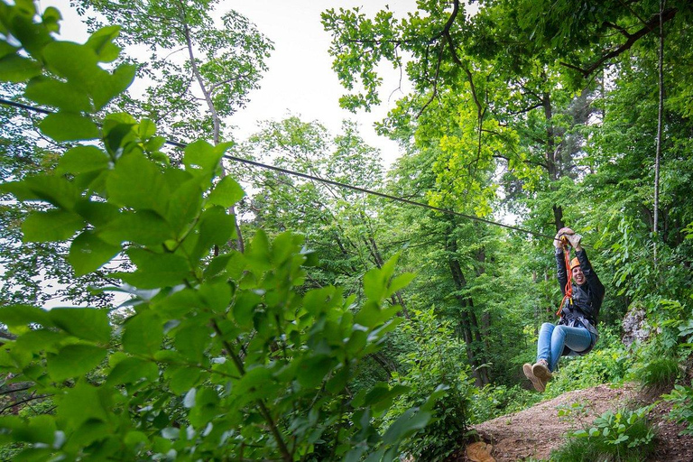 Zanzibar: Masingini Forest Zipline Adventure with Pickup
