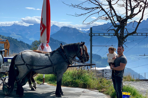 Lucerna: Escursione sul Monte Rigi con giro in barca e treno a cremagliera