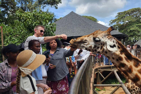 Nairobi: Giraffe Centre Visit and Giraffe Feeding Experience Nairobi: Interactive Giraffe Feeding & Wildlife Education