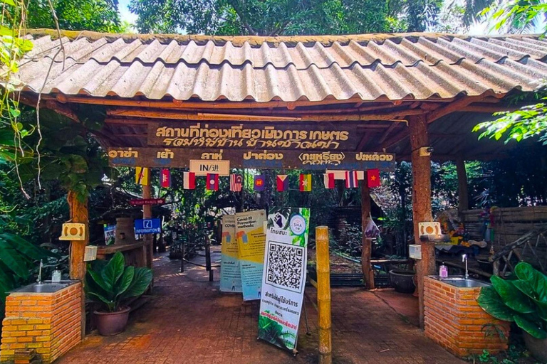 Från Chiang Mai : Vita och blå tempel och Lalita Cafe