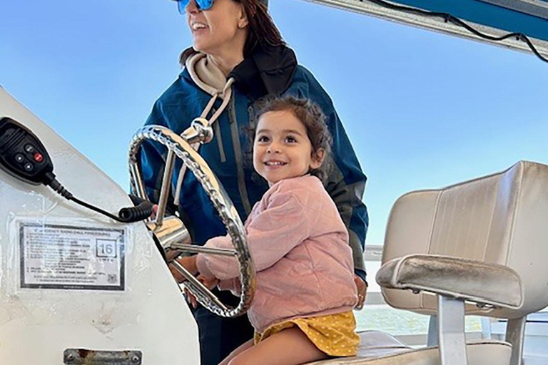 جزيرة هيلتون هيد آيلاند جولة نهاراً على متن قارب لمشاهدة الدلافينجزيرة هيلتون هيد: جولة بالقارب لم