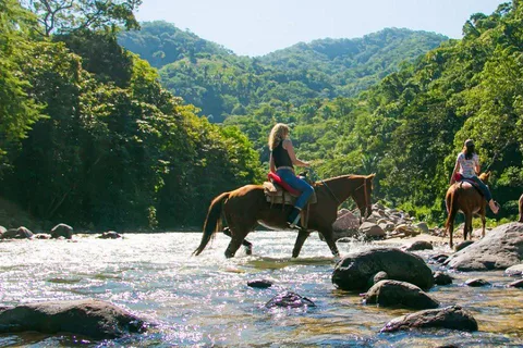 Puerto Vallarta : Randonnée à cheval dans la forêt tropicale