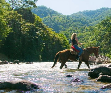 Puerto Vallarta: Tropical Forest Horseback Ride