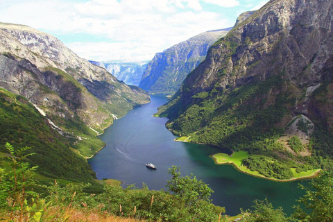 Tour guidato privato - Crociera sul Nærøyfjord e ferrovia di Flåm