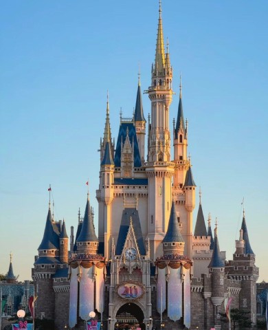 Tokyo Disneyland/Disneysea Pick-up & Drop-off Transfer