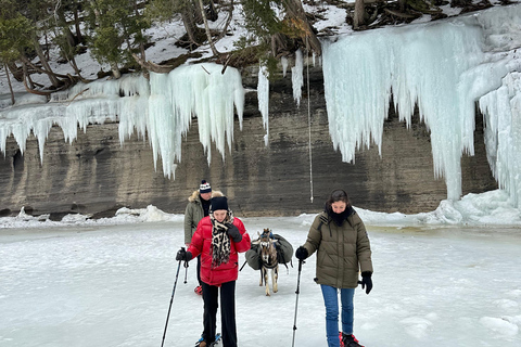 Quebec City: Guided Goat Hike & Beaver Dam Visit with Picnic