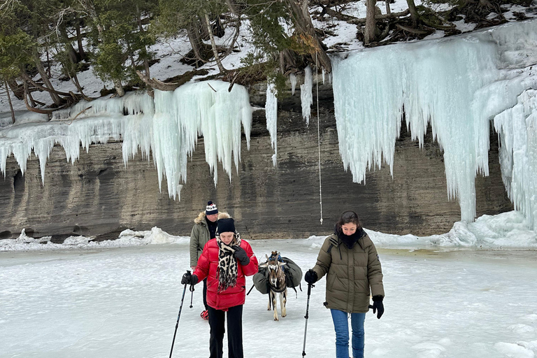 Quebec City: Guided Goat Hike & Beaver Dam Visit with Picnic