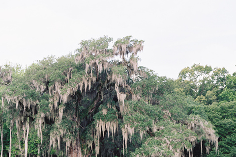 Drayton Hall: Tour guidato con interprete, Charleston, SC