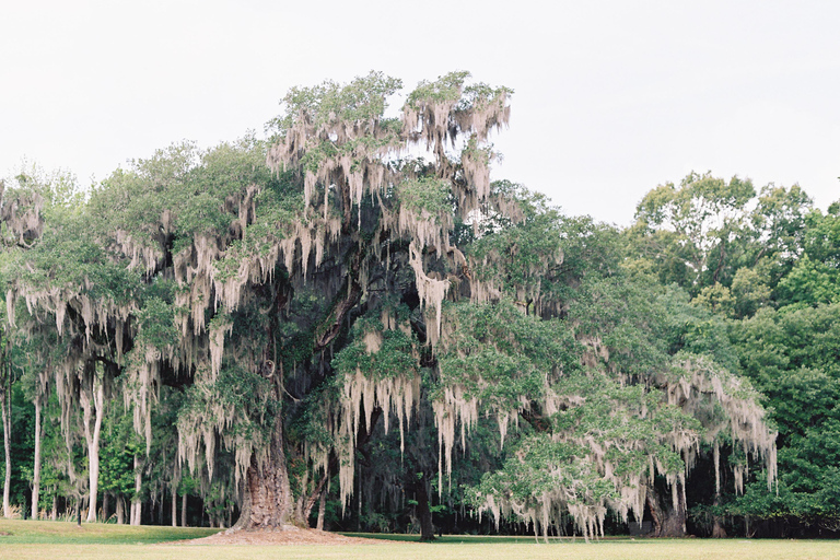 Drayton Hall: Guidad tur med tolk, Charleston, SC