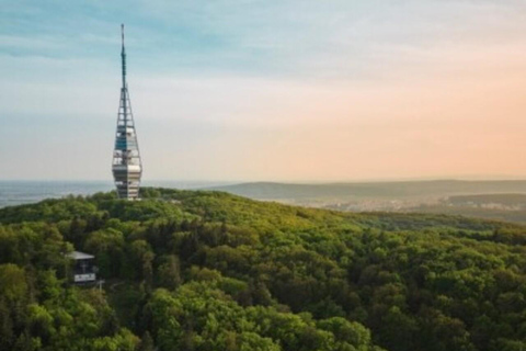 Bratislava in a Day: Small Capital, Big Story