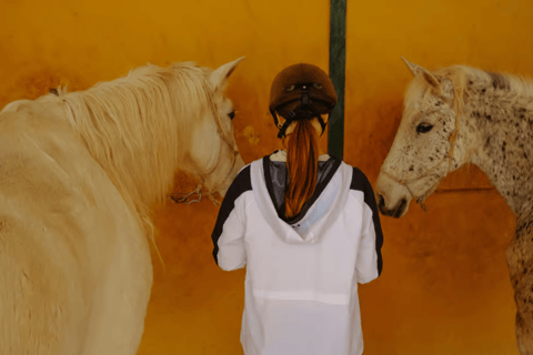 Ibiza: Beach or Nature Horseback Ride with Guide Ibiza: 1 h Nature Ride for beginners