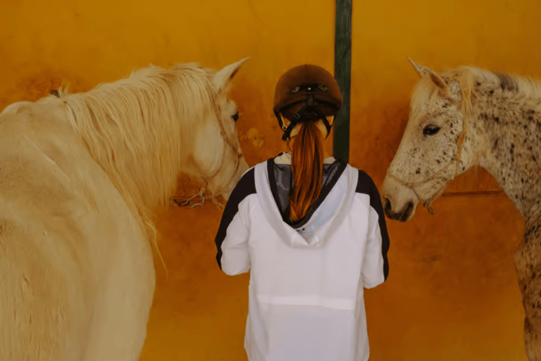Ibiza: Beach or Nature Horseback Ride with Guide Ibiza: 1 h Nature Ride for beginners
