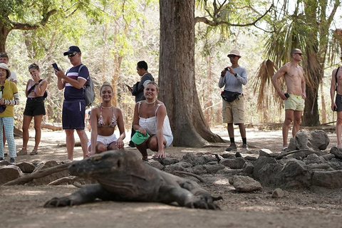 Komodo Island Tour med privat båt