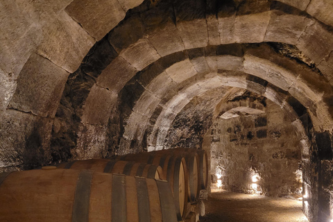 Tour Semi-Privado de La Rioja por 3 Bodegas Premium desde Bilbao