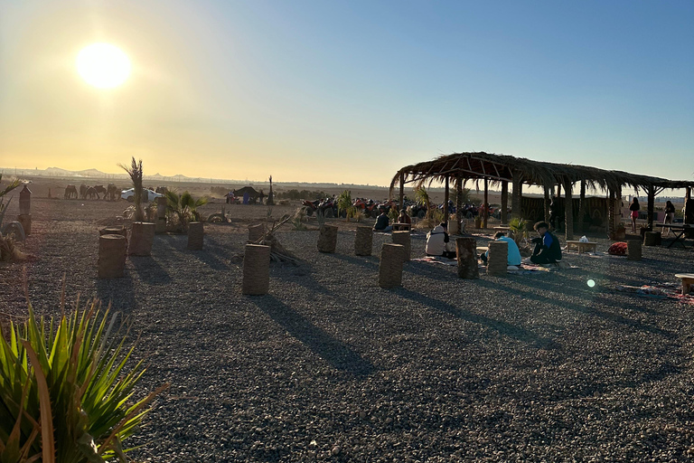 Marrakech: quad Adventure at the Dunes of the palmery desert