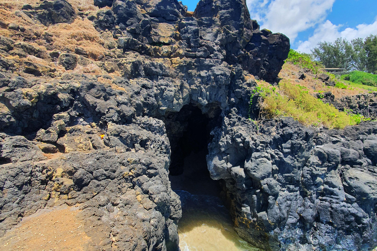 Costa Sur Salvaje ( Gris Gris)