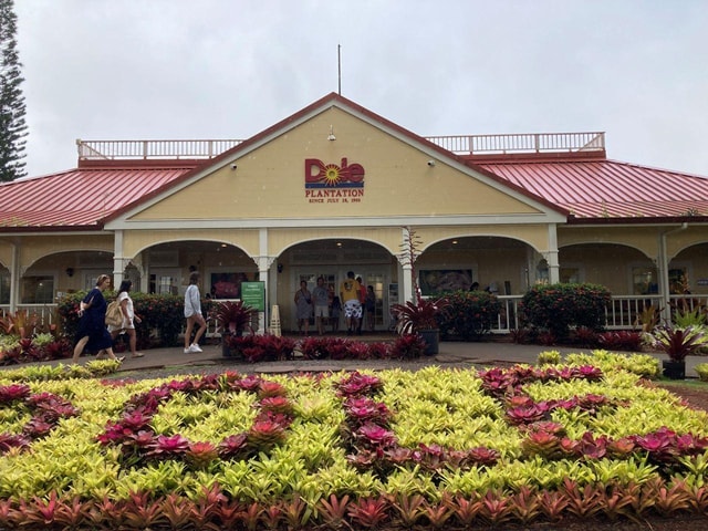 "World Famous Dole Plantation" & North Shore Island Tour!