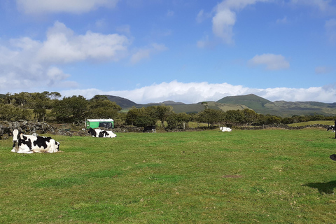 Visit a Farm on the Island of Pico