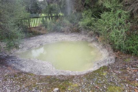From Auckland: Lake Taupo and Rotorua Private Day Tour