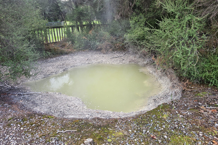 From Auckland: Lake Taupo and Rotorua Private Day Tour
