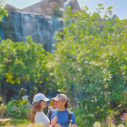 Chiang Mai: Small Group Sticky Falls & Dantewada Adventure. Chiang Mai: Small Group Sticky Falls & Dantewada Adventure.