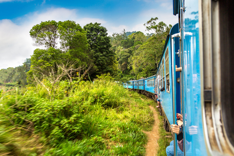 Sri Lanka - Visite privée de 5 jours avec expériences localesCette option comprend le transport privé, les repas, les hôtels, le guide.