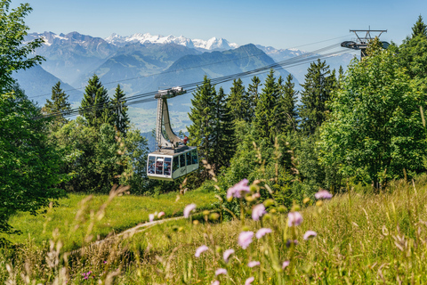 3 Mountains in 1 Day by Train, Cable Cars, Funiculars & Boat Excluding Train Tickets