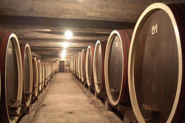 From Belgrade: Oplenac mausoleum Royal tour with winery